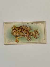 1928 Will's Cigarettes Card Wonders of The Sea Frog Fish