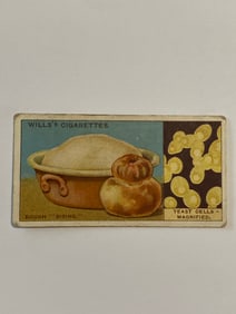1928 Will's Cigarettes Card Wonders of The Sea Dough Rising