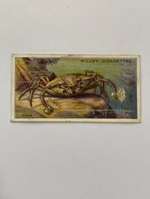 1929 Will's Cigarettes Card  Wonders of The Sea The Crab
