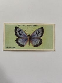 1927 Will's Cigarettes Card Butterfly LAarge Blue