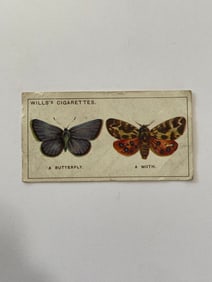 1922 Will's Cigarettes Card Butterfly Moth
