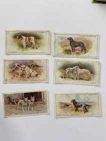 1925 John Player & Sons Dogs Cigarette Cards  (6)