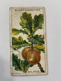 1928 Will's Cigarettes Carads Do You Know Oak Apples