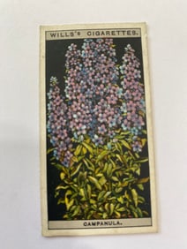 1925 Will's Cigarettes Flower Culture in Pots Chimney Campanella
