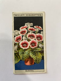 1925 Will's Cigarettes Flower Culture in Pots Gloxinia
