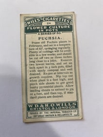 1925 Will's Cigarettes Flower Culture in Pots Fuchsia