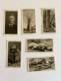 1925 Will's Cigarettes Flower Culture in Pots