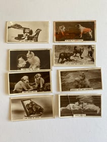 1939 De Reske Series of Real Photograph Tobacco Cards (8)