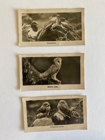 1939 De Reske Series of Real Photograph Tobacco Cards (8)