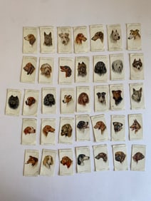 1929 Player and Sons Tobacco Cards Dogs (36)
