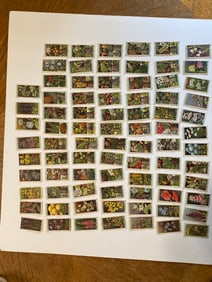 Will's Cigarettes Flowers, Gardening, Pot Culture Tobacco Cards (81)