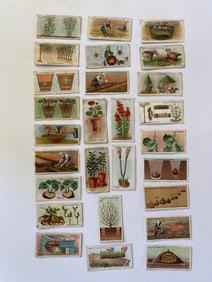 1920's Will's Cigarettes Gardening Hints Tobacco Cards