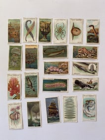 1920's Will's Cigarettes Wonders of The Sea Tobacco Cards