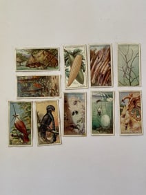 1920's Lambert and Butler Wonders of Nature Tobacco Cards