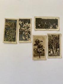 1920's John Sinclair Real Photo Tobacco Cards