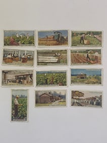 1920's John Player and Sons From Plantation to Smoker Tobacco Cards