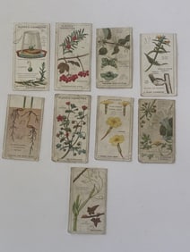 John Player and Sons Struggling for Existence Tobacco Cards