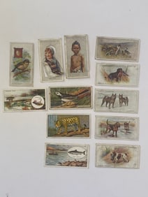 Antique Tobacco Card Lot