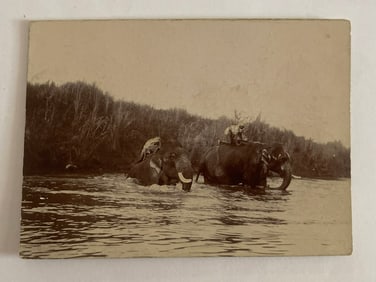 Antique's Brown Brothers Elephant Cambodia Tiger Hunting Photograph