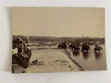 Antique's Brown Brothers Elephant Cambodia Tiger Hunting Photograph