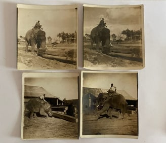 Antique's Brown Brothers Burmese Elephants Moving Wood (4)