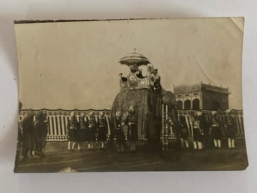 Antique's Brown Brothers The Raja's Elephant Photo