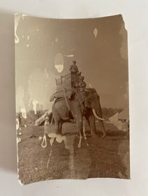 Brown Brothers The Maharaja's  Elephant Photo