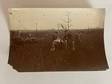 The Maharaja's Camp Antique Brown Brothers Elephant Photo