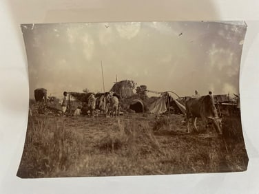 The Maharaja's Camp Antique Brown Brothers Elephant Photo
