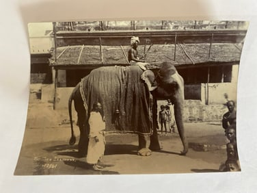 The Holy Elephant Antique Brown Brothers Photograph