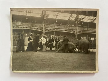 Antique Brown Borithers Elephant Christening  of Baby Elephants