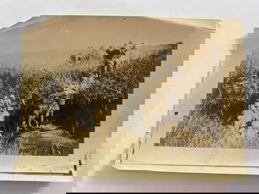 Antique Brown Brothers Elephant Tiger Hunt Artist Proof Magazine Photo