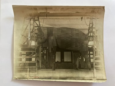 Rare Elephant Taxidermy Mold Photo