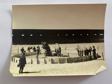 Antique Brown Brothers Circus Elephant Photo