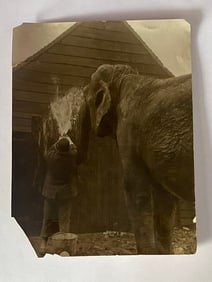 Antique Brown Brothers Circus Elephant Water Hose Photo