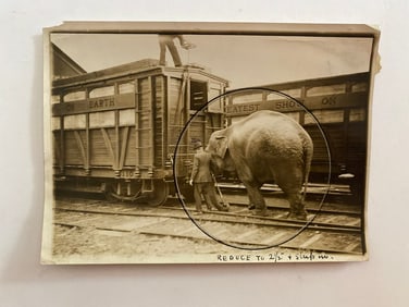 Circus Elephant Moving Train  Brown Brothers Photograph