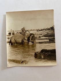 Indian Elephant Working  Brown Brothers Photograph