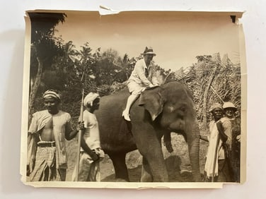 Elephant Ride  Photograph