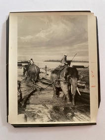Indian Elephants at Work Brown Brothers Artist Proof Photograph