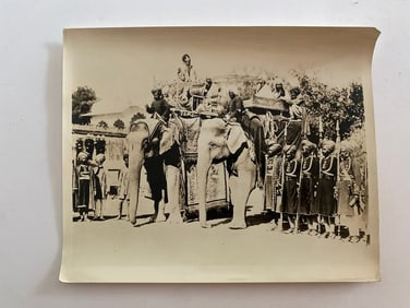 Maharaja Elephant  Brown Brothers Photograph