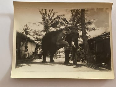 Sabu Elephant Boy Movie Brown Brothers  Photograph