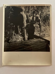 Elephant Working Brown Brothers Photograph