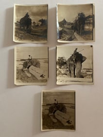 Elephants Moving Wood Brown Brothers Photo Lot (5)