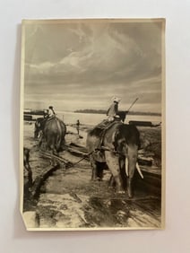Elephants Hauling Leak Brown Brothers Photograph