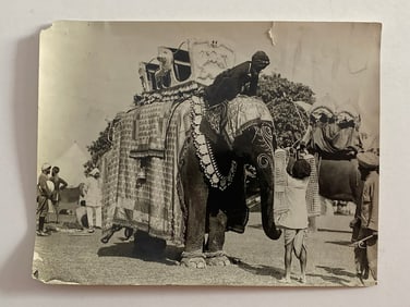 Elephant Pageant Brown Brothers Photograph