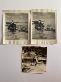 Indian Elephant Working  Brown Brothers Photograph  (4)