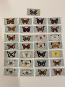 1927 Will's Cigarettes Card Butterfly Collection (29)