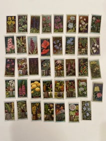 1928 Will's Cigarette Card Lot
