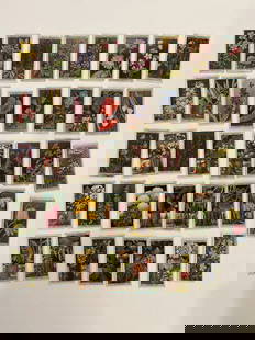 1928 Will's Cigarette Card Lot: Please see pic for descripiton
