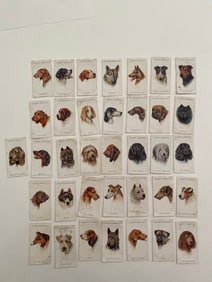 John Player and Sons Dogs Tobacco Cigarette Cards